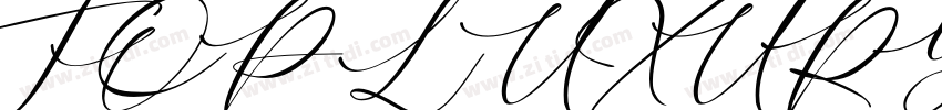 TOP LUXURY字体转换